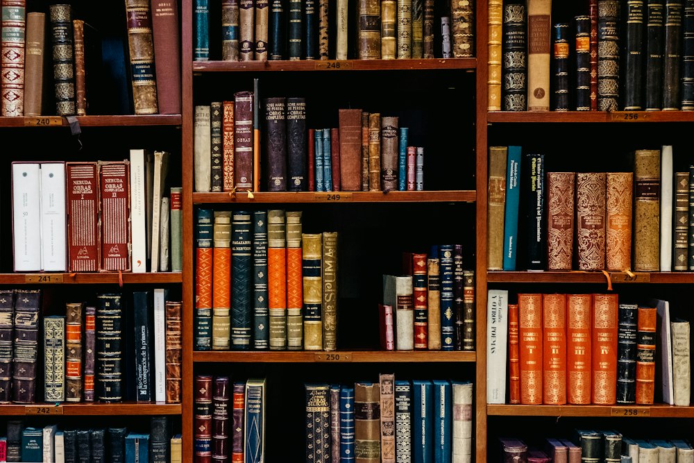 Great library hall